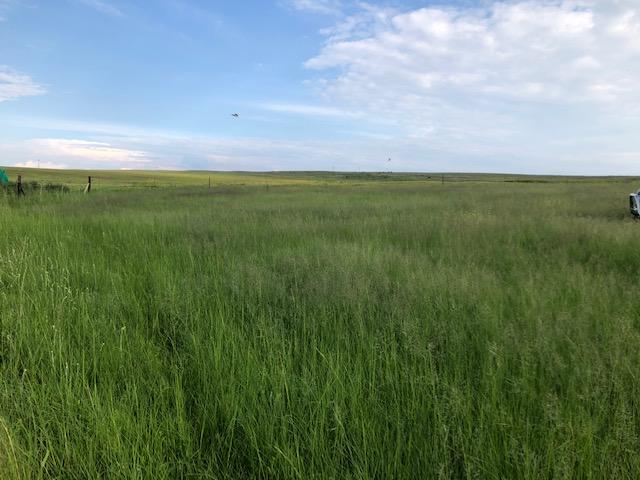 0 Bedroom Property for Sale in Bethlehem Rural Free State